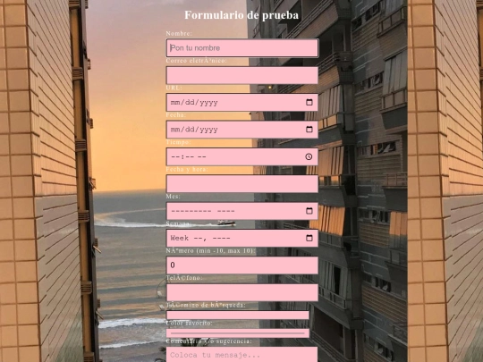 formulario screenshot