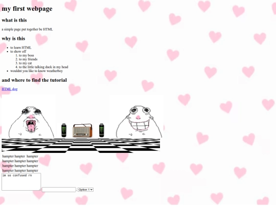 myfirstpage screenshot