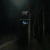 wetdog blog avatar