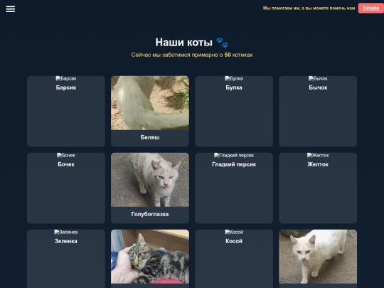 cats screenshot