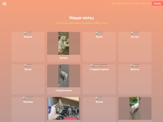 ru/cats_ru screenshot