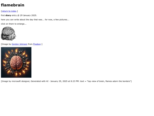 diary/2025/january/flamebrain screenshot