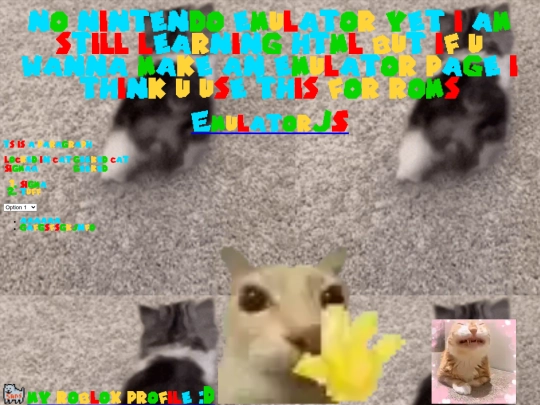 indexa screenshot