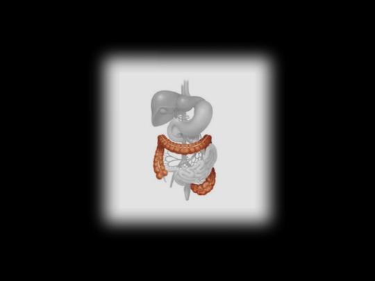 page/intestines screenshot