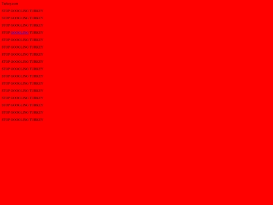 page/turkey2 screenshot