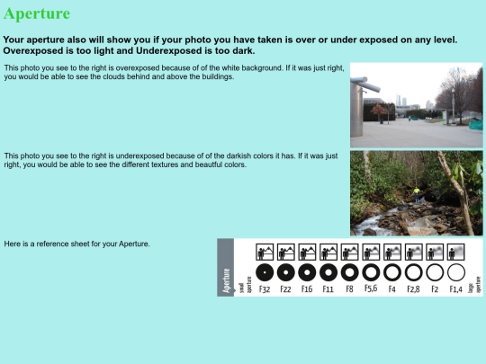 FinalTest/FinalProject1 screenshot