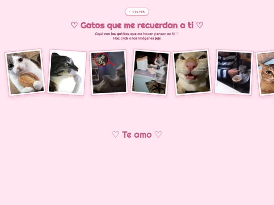gatos screenshot