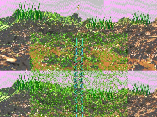sprite screenshot