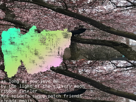 words screenshot