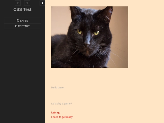 Game CSS Test/CSS Test screenshot