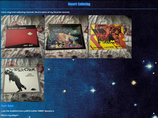 recordcollecting screenshot