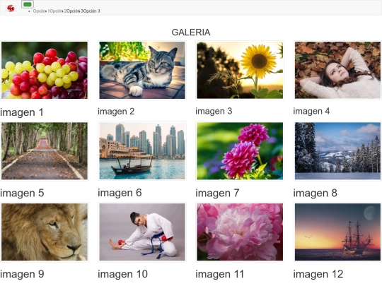 practicas/paginas/galeria screenshot