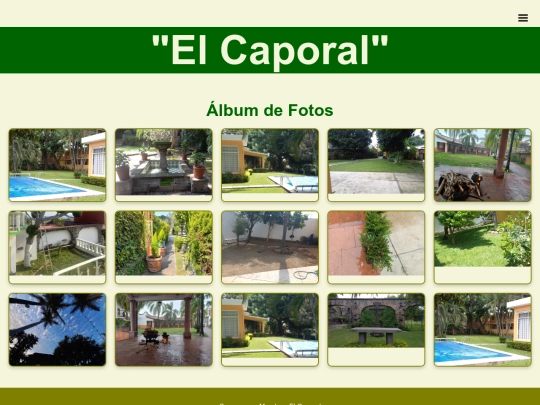 album screenshot