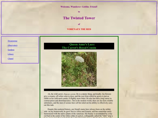 queen-anne-lace screenshot