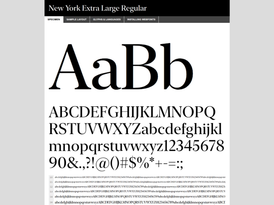 FONTS/webfontkit-20260205-062648/newyorkextralarge-regular-demo screenshot