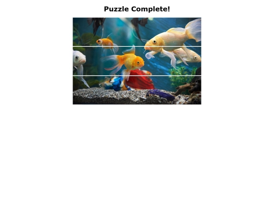 flexible-puzzle screenshot