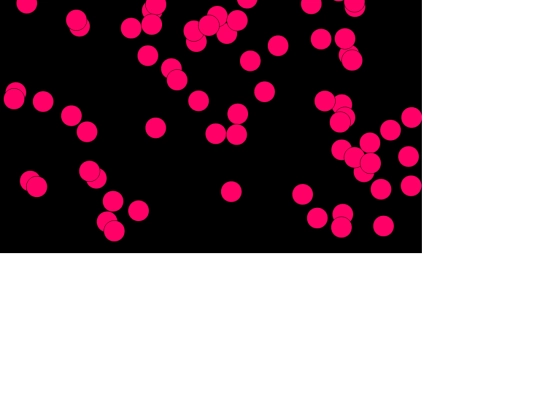 game/step2 screenshot