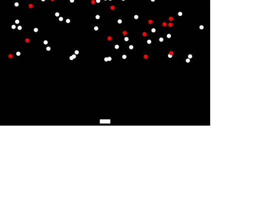 game/step5 screenshot