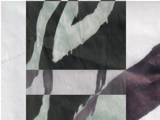 scans copy screenshot
