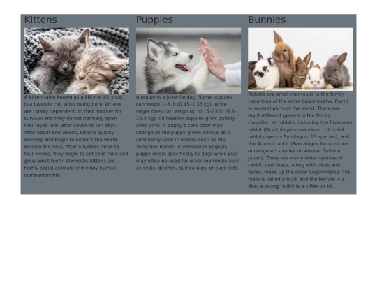 bootstrap1/bostrap1/cards screenshot