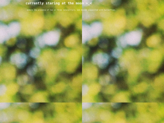 butterflies screenshot