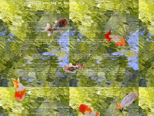 my_pond screenshot