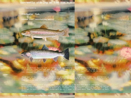 weird_fishes screenshot