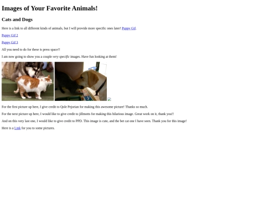 CSS Documents/Images screenshot