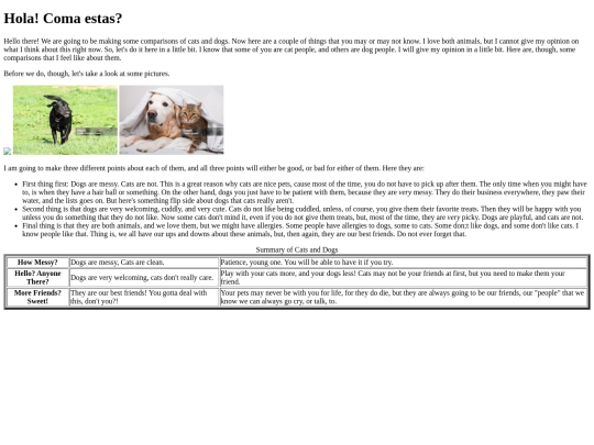 CSS Documents/Tables screenshot