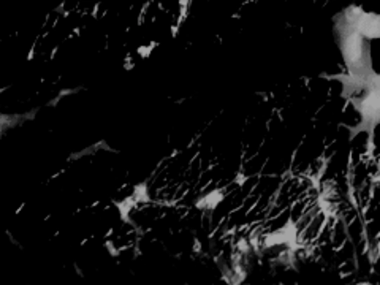 ezekiel screenshot