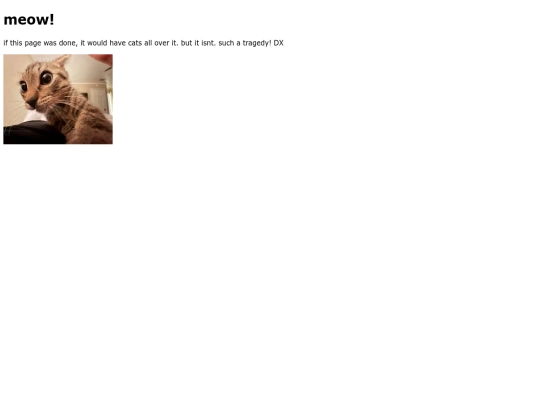 meow screenshot