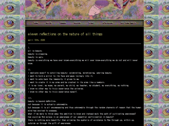 eleven reflections screenshot