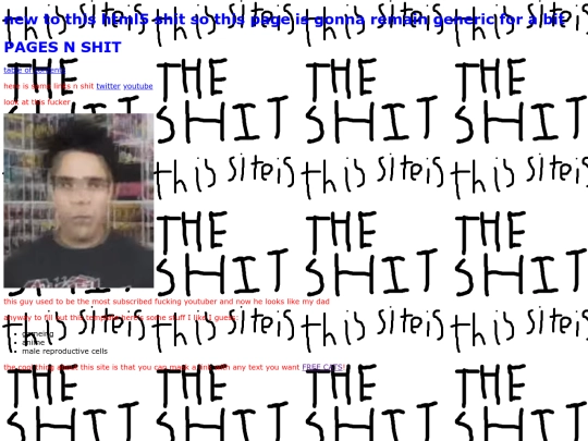 indexcopy screenshot
