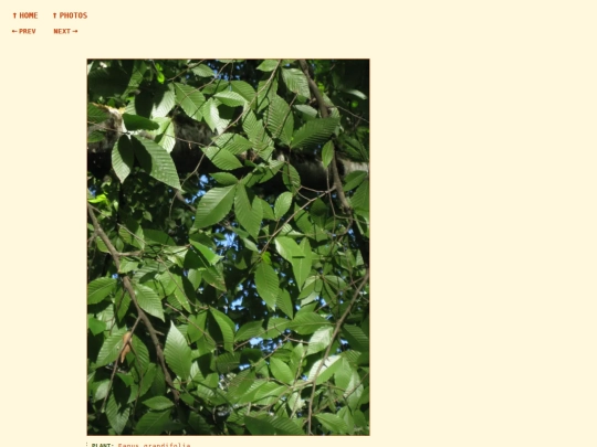 photos/260810183513 screenshot