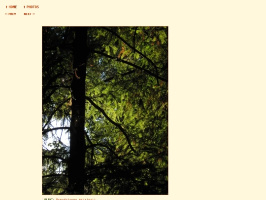 photos/260811192259 screenshot