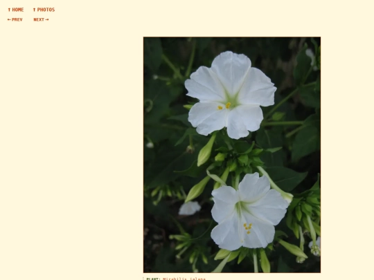 photos/260811195926 screenshot