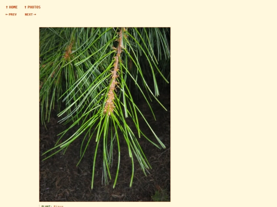 photos/260811200710 screenshot