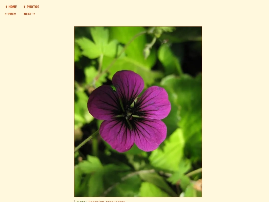 photos/260812181900 screenshot
