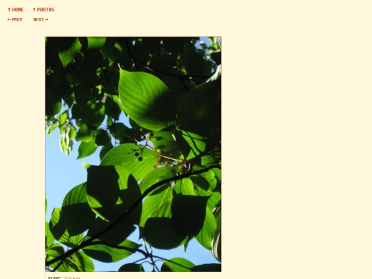 photos/260812182816 screenshot