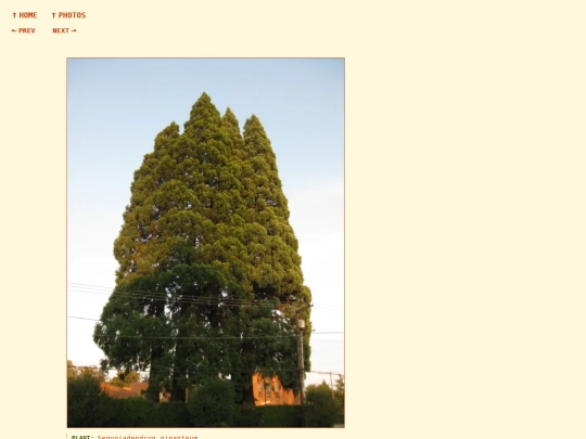 photos/260814193609 screenshot