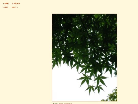 photos/260814194113 screenshot