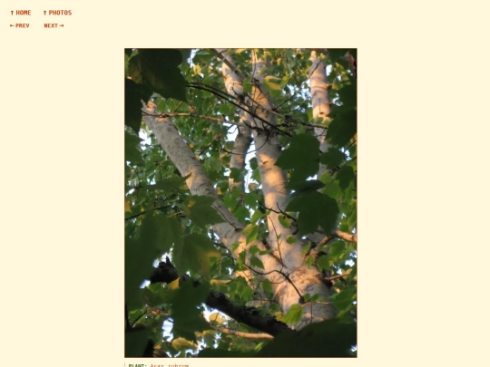 photos/260814194536 screenshot