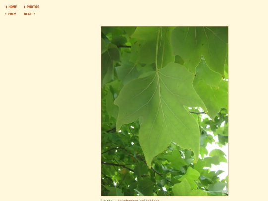 photos/260815142928 screenshot