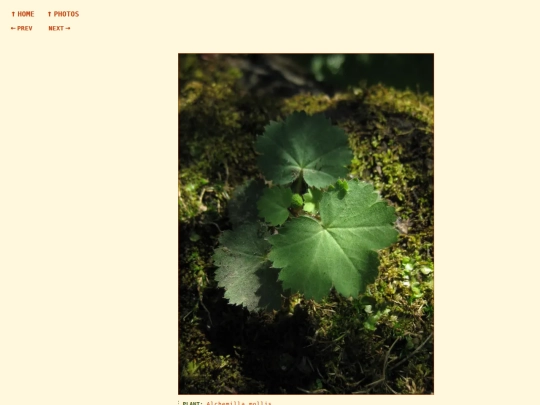 photos/260818153954 screenshot