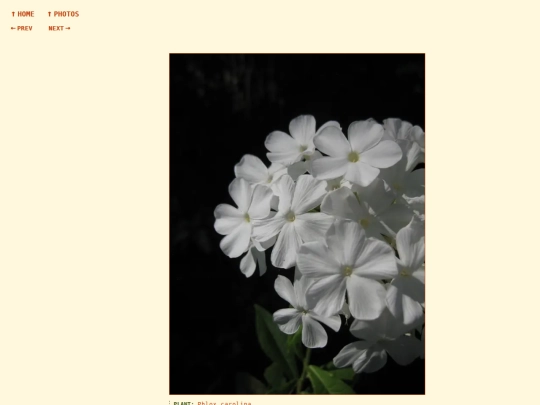 photos/260818155026 screenshot