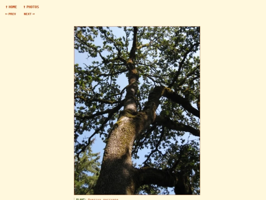 photos/260818155047 screenshot