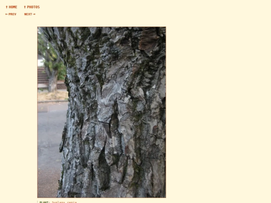 photos/260822185202 screenshot