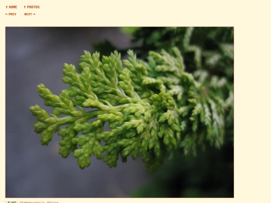 photos/260822192333 screenshot