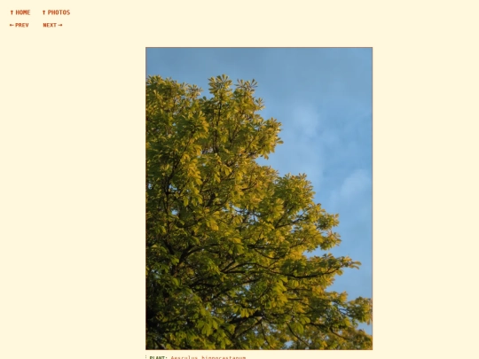 photos/260822193639 screenshot
