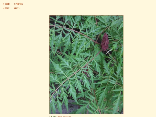 photos/260822194157 screenshot